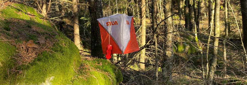 Tirsdagstrening for urokråker fra Moss